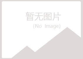 阳山县离开建设有限公司